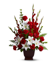 Tender Tribute 