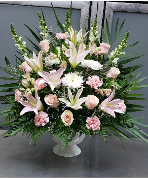 Tender Tribute  135.95