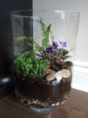 Terrarium 