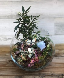 Terrarium Garden Terrarium 