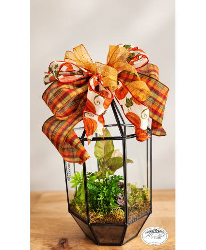 Terrarium Planter