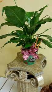 Terrific Teacher Desk Plant 
