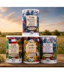 Texas WildFlower Seeds  Seeds