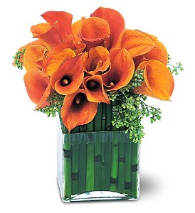 Bronze Callas   
