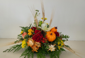 Harvest Blessings 