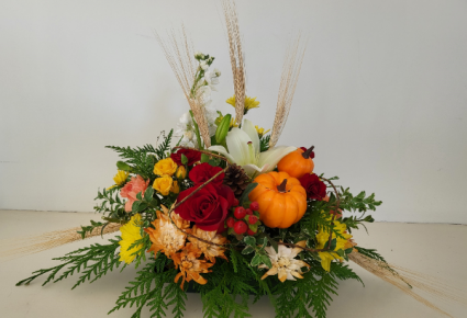 Harvest Blessings 