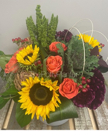 Thanksgiving Celebrations  in Etobicoke, ON | THE POTTY PLANTER FLORIST