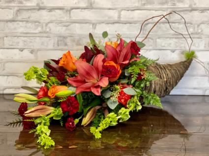 Thanksgiving Cornucopia Cornucopia
