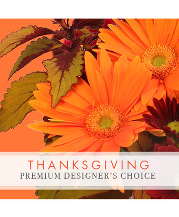 Thanksgiving Floral Beauty Premium Designer's Choice in Wilson, NC | The Kirks Flowers