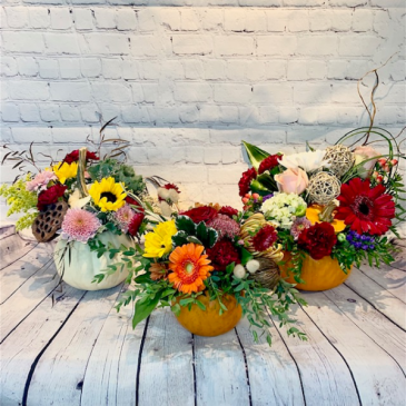 Thanksgiving Garden Arrangement in Kelowna, BC | MISSION PARK FLOWERS