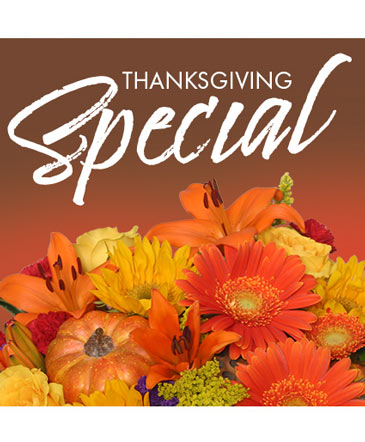 Thanksgiving Special Designer's Choice in Marmaduke, AR | Choco Taco Florist ***TEST SHOP****