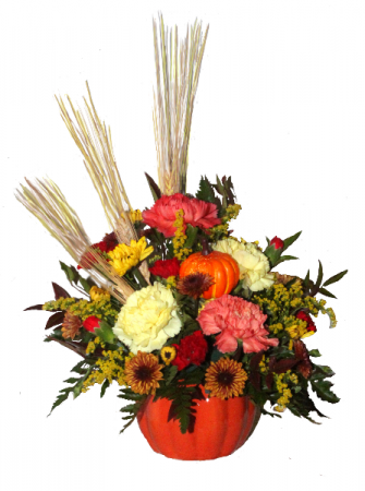               THANKSGIVING SPECIAL   Order Early....limited supply of containers