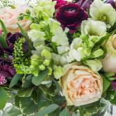 Designer's Choice Ultra 