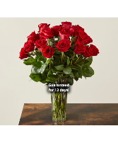 "The Big Ones" - Premium Long stem Red Rose Vased Arrangement