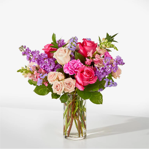 The Cha-Cha  Arrangement