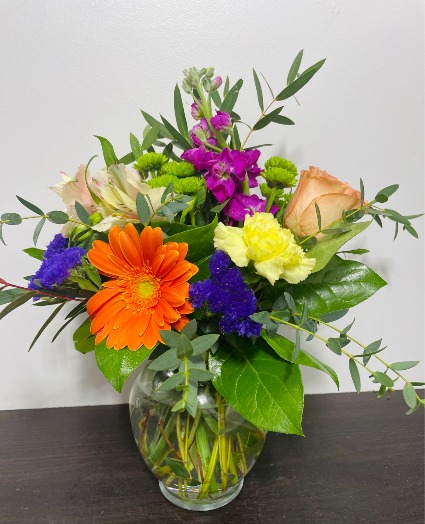 The Cutie 
