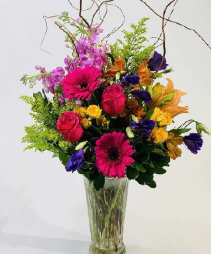 The Dazzler  Arrangement