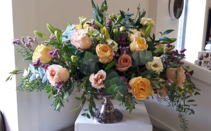 The Downton Garden  