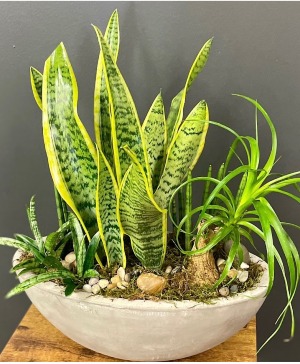 The Easy Green 