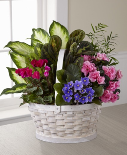 The FTD Peaceful Garden Planter 