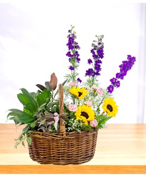 The Garden of Eden  1/2 Plants 1/2 Cut Flower Arrangement