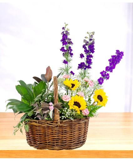 The Garden of Eden  1/2 Plants 1/2 Cut Flower Arrangement