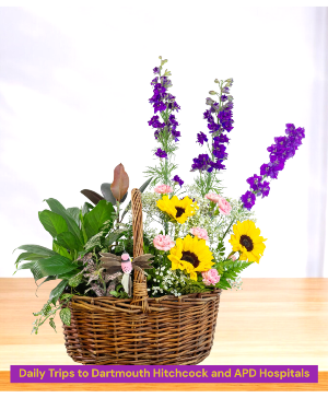 The Garden of Eden 1/2 Plants 1/2 Cut Flower Arrangement