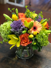 The Highland Just Because