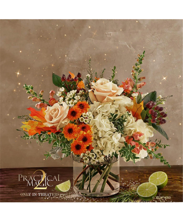 The Midnight Margarita Bouquet  in Granbury, TX | Domino's Blooms