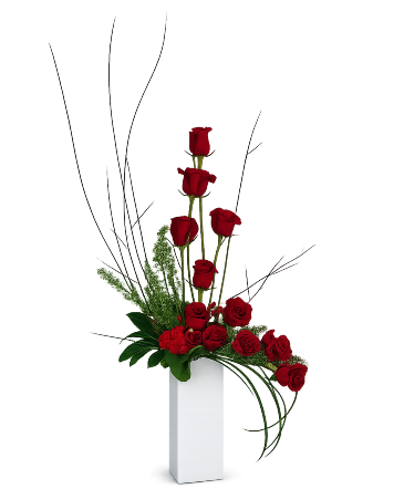 The Modern Dozen Rose in Glenwood, AR | Glenwood Florist & Gifts