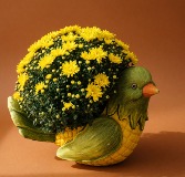 The Most Adorable Bird Hardy Mum Gift Planter