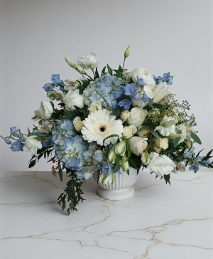 The Nancy Blue Collection 
