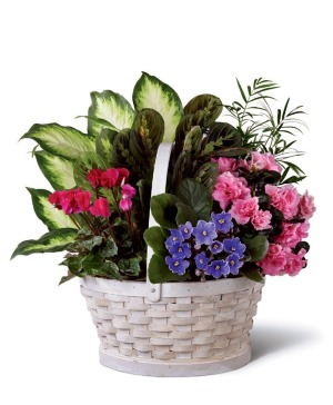 The Peaceful Garden Planter 