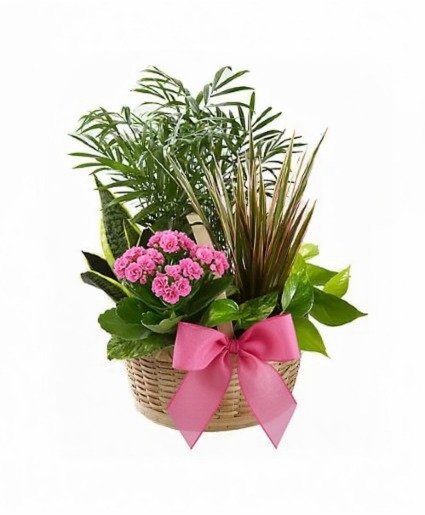 The Resilience  Garden Basket
