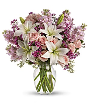 The Romance Blossom  