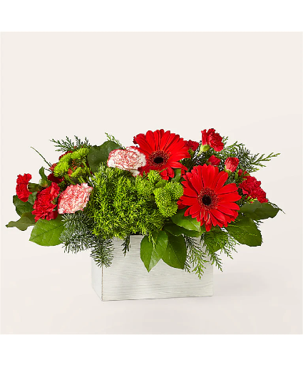 The Rudolph C22d Bouquet