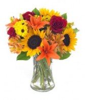 The Sun Flower Fall Flowers