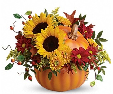 The Sunflower Pumpkin   in Hot Springs, AR | Lake Hamilton Flowers & Gifts