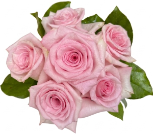 The Sweetheart Hand Bouquet