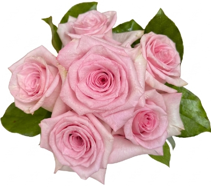 The Sweetheart Hand Bouquet
