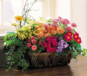 The Ultimate Euro Garden 