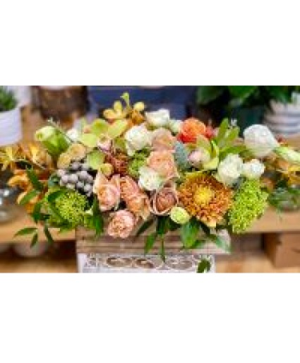 The Van Gogh Box Arrangement