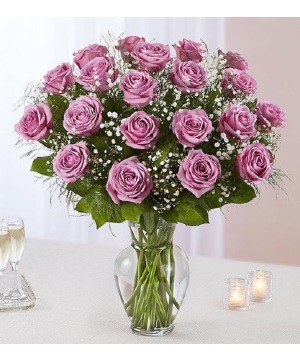 The Year of Roses 