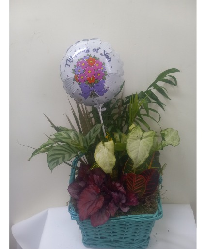 Thinking of you dish garden 