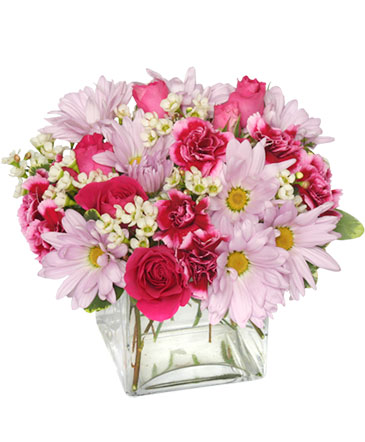 Thoughtful Expressions Arrangement in Groveland, FL | KARA'S FLOWERS