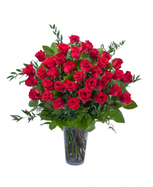 Three Dozen Long Stem Red Roses 