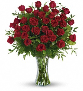 Three Dozen Long Stem Roses Rose Arrangement