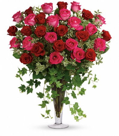 Three Dozen Pink & Red Roses in Large Trumpet vase 