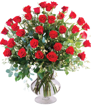 Three Dozen Red Roses Vase Arrangement  in Zachary, LA | DON LYN FLORIST