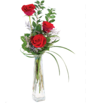 Three Fiery Roses 